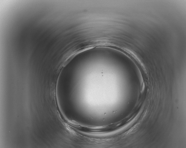 X0000071381289200606301800