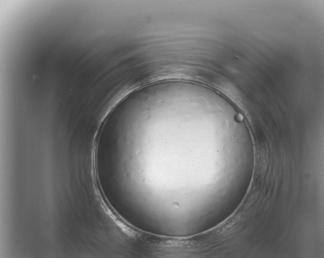 X0000071381290200606301800