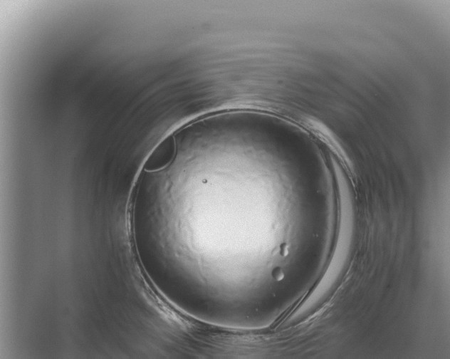 X0000071381292200606301800