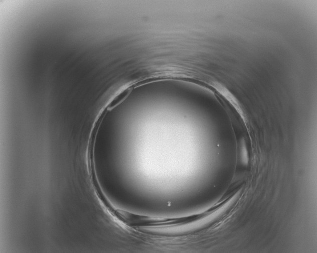 X0000071381293200606301800