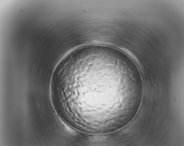 X0000071381294200606301800