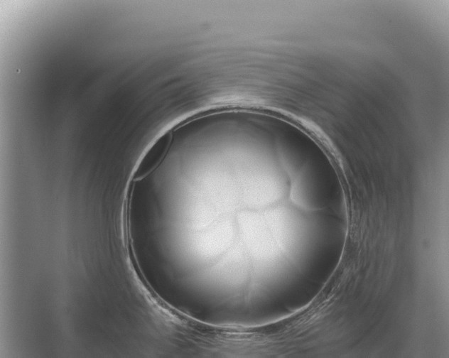 X0000071381295200606301800