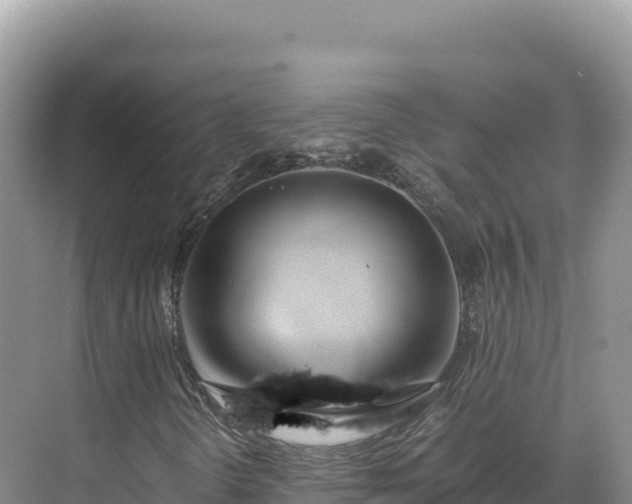 X0000071381298200606301759