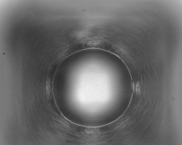 X0000071381299200606301759