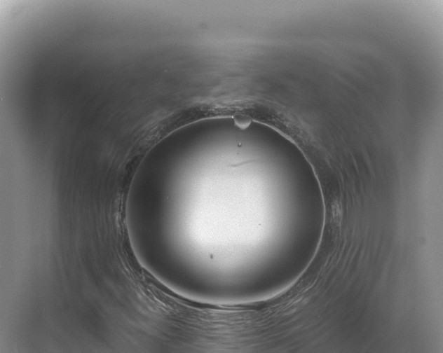 X0000071381300200606301759