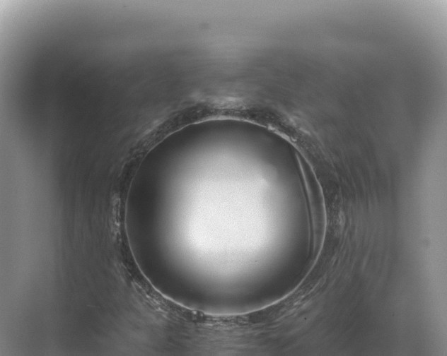 X0000071381301200606301759