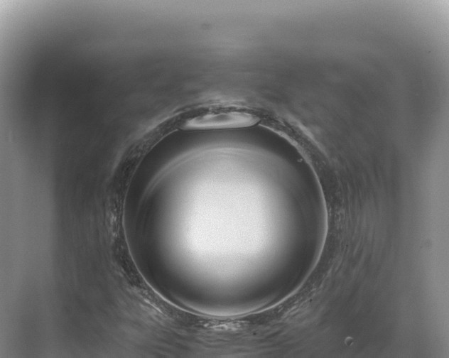 X0000071381303200606301759