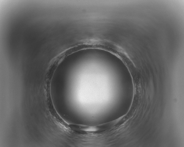 X0000071381304200606301759