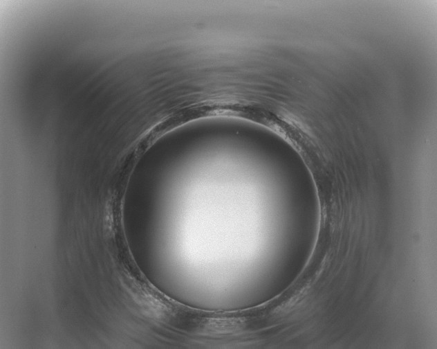 X0000071381305200606301759