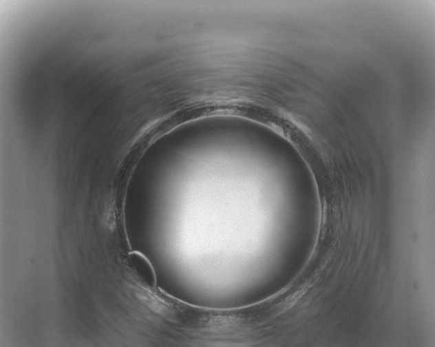 X0000071381306200606301759