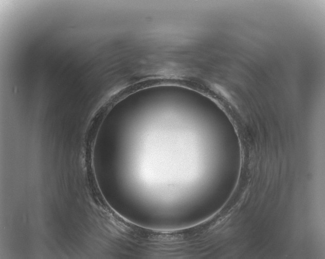 X0000071381307200606301759