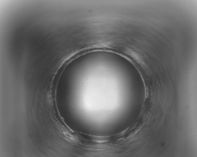 X0000071381308200606301759