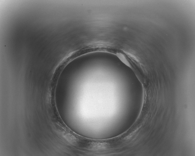 X0000071381309200606301759