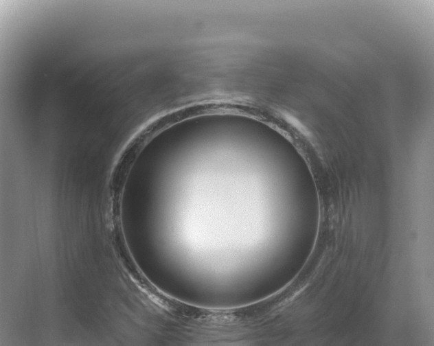 X0000071381310200606301759