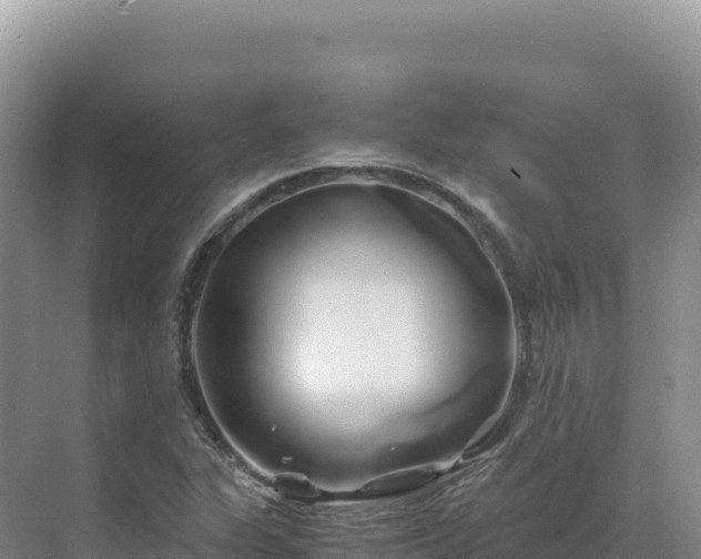 X0000071381311200606301759