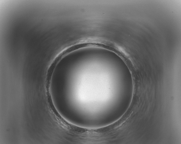 X0000071381312200606301759