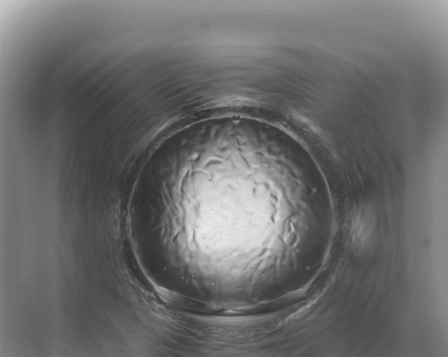 X0000071381313200606301759