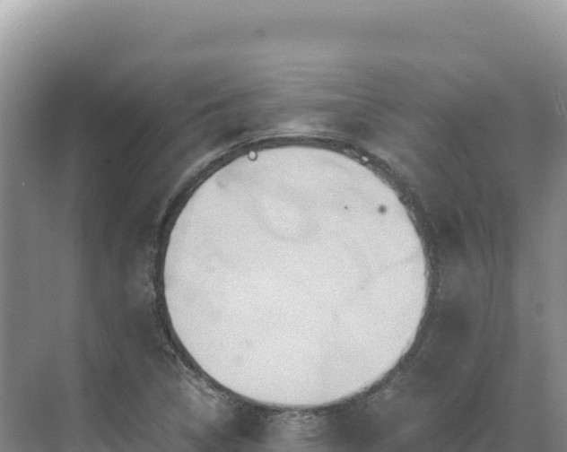 X0000071381314200606301759