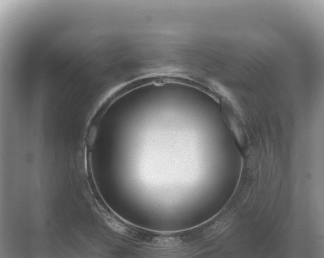 X0000071381320200606301759