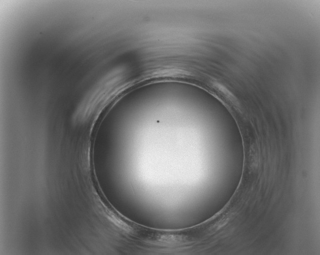 X0000071381322200606301800