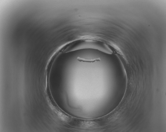 X0000071381323200606301800