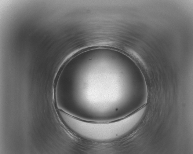 X0000071381324200606301800