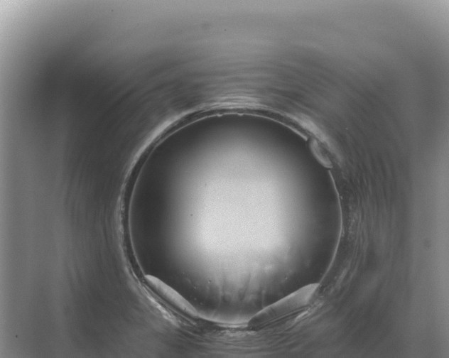 X0000071381325200606301800