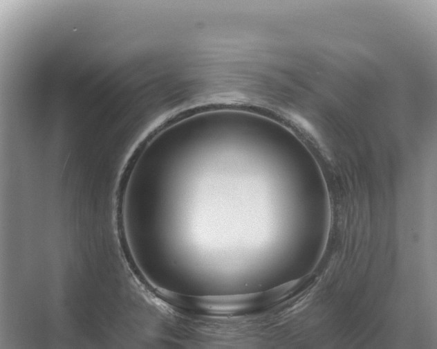 X0000071381326200606301800