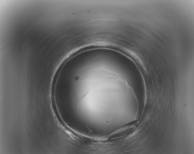 X0000071381327200606301800