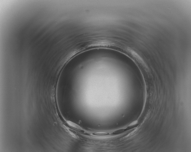 X0000071381329200606301800