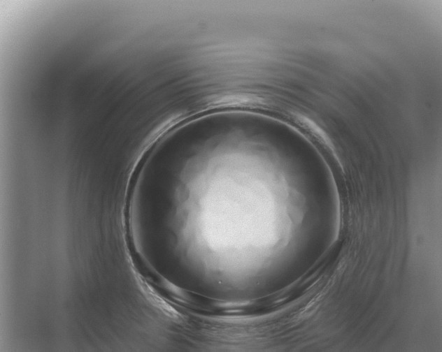 X0000071381330200606301800