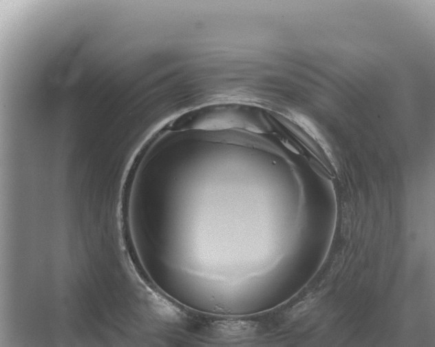 X0000071381331200606301800