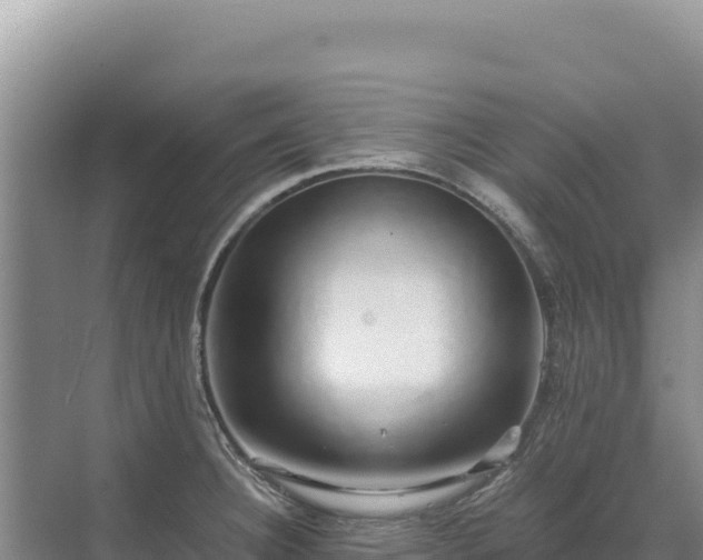 X0000071381332200606301800