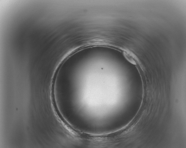 X0000071381333200606301800