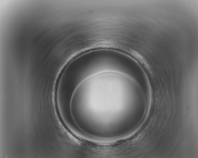 X0000071381334200606301800