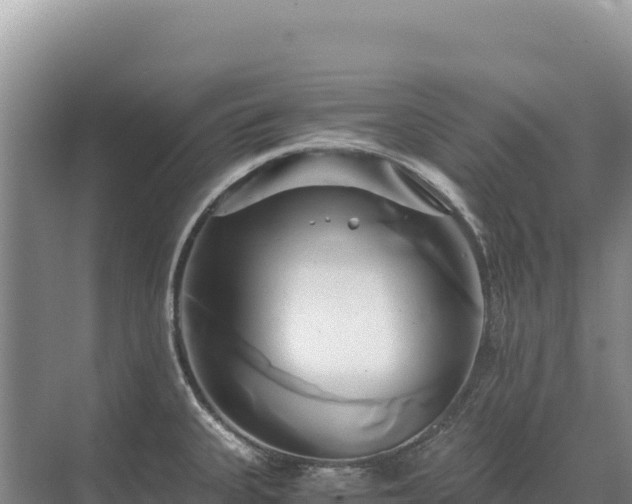 X0000071381335200606301800