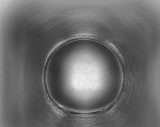 X0000071381336200606301800