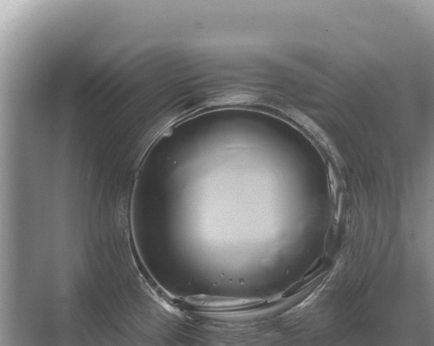 X0000071381337200606301800