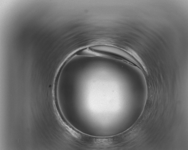 X0000071381339200606301800