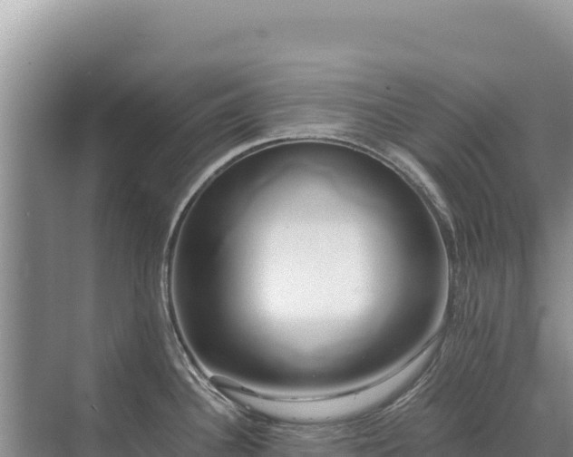 X0000071381340200606301800