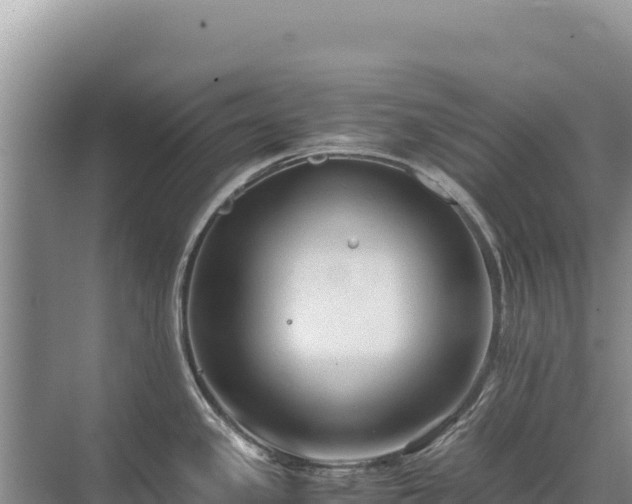 X0000071381341200606301800