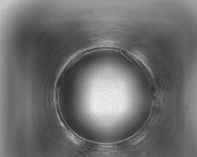 X0000071381342200606301800