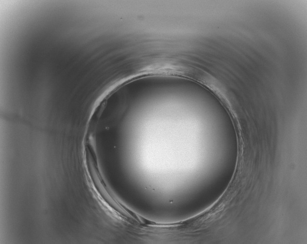 X0000071381344200606301800