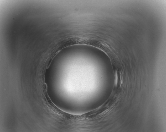 X0000071381345200606301759