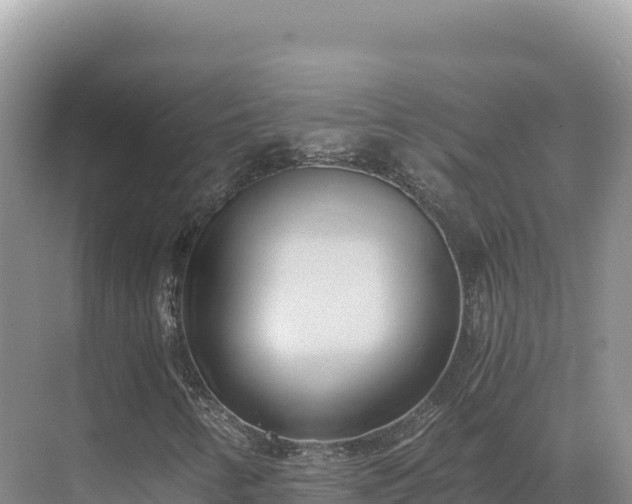 X0000071381346200606301759