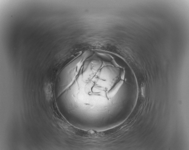 X0000071381347200606301759