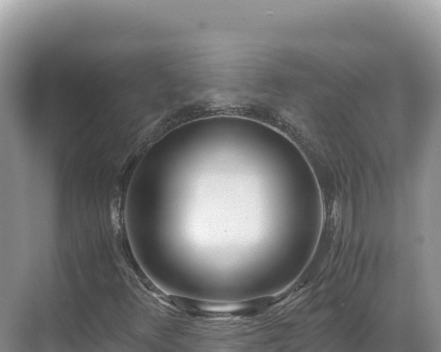 X0000071381348200606301759