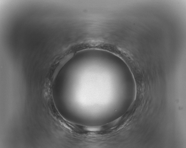 X0000071381349200606301759