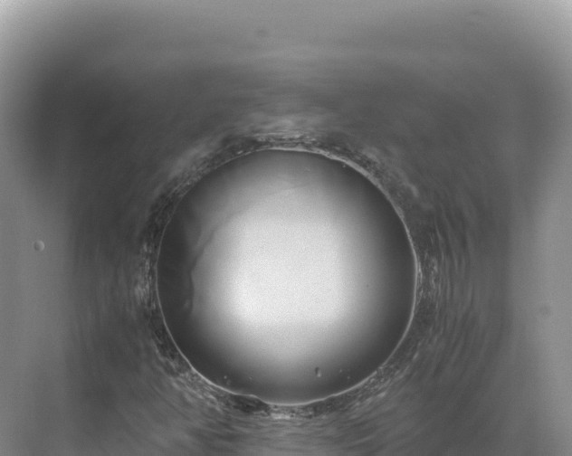 X0000071381350200606301759