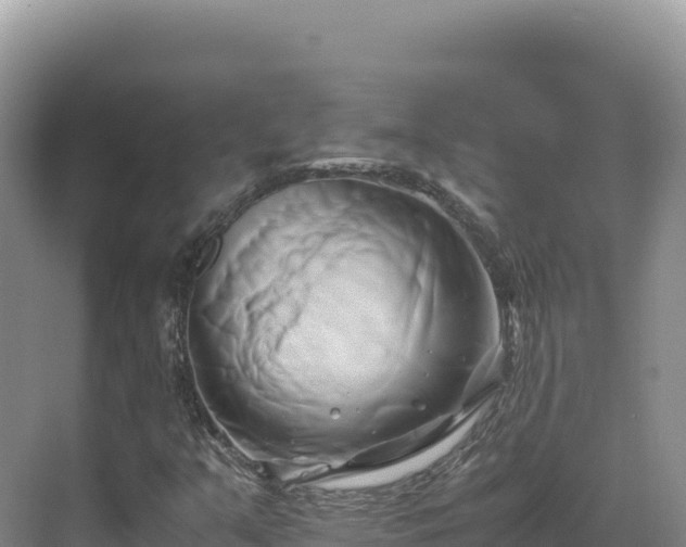 X0000071381351200606301759